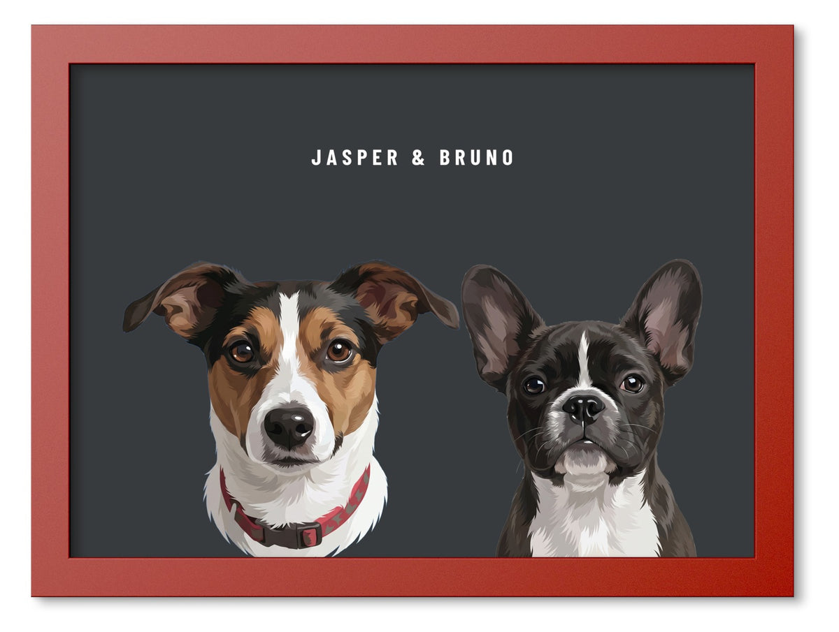 Custom Two Pet Portrait Coloured Frame Print (Red): Jasper the Jack Russell Terrier & Bruno the French Bulldog on a Charcoal background. [ks Frame Colour=Red; Background=Charcoal]