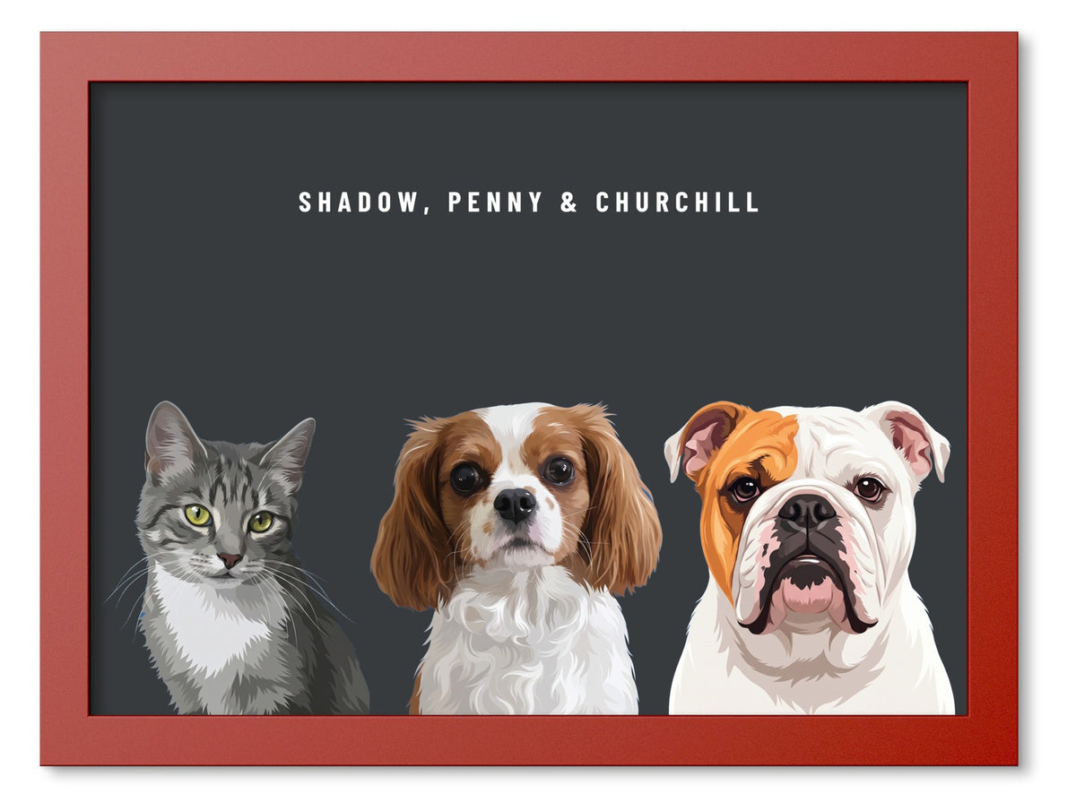 Custom Three Pet Portrait Coloured Frame Print (Red): Shadow the grey tabby cat & Penny the Cavalier King Charles Spaniel & Churchill the English Bulldog on a Charcoal background. [ks Frame Colour=Red; Background=Charcoal]