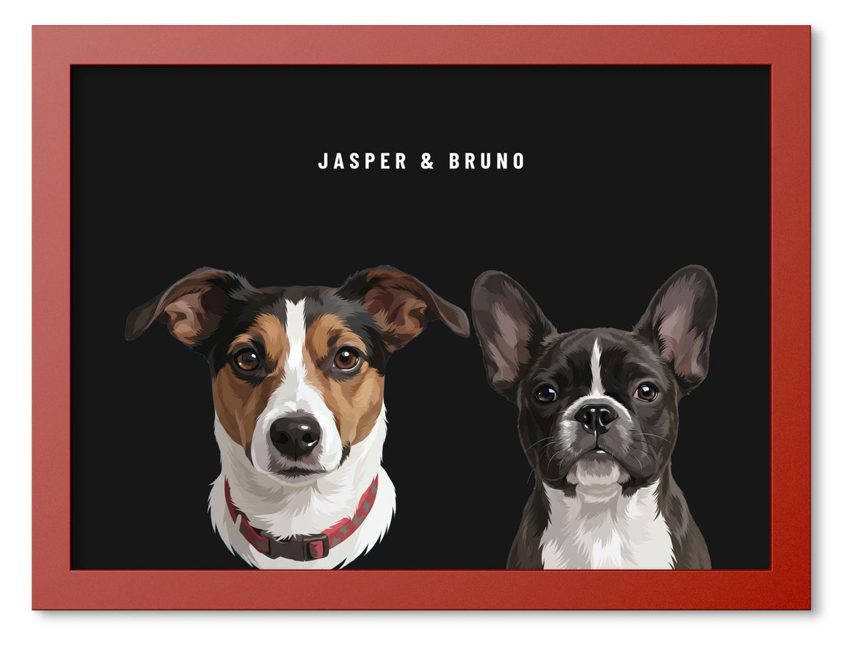 Custom Two Pet Portrait Coloured Frame Print (Red): Jasper the Jack Russell Terrier & Bruno the French Bulldog on a Obsidian background. [ks Frame Colour=Red; Background=Obsidian]