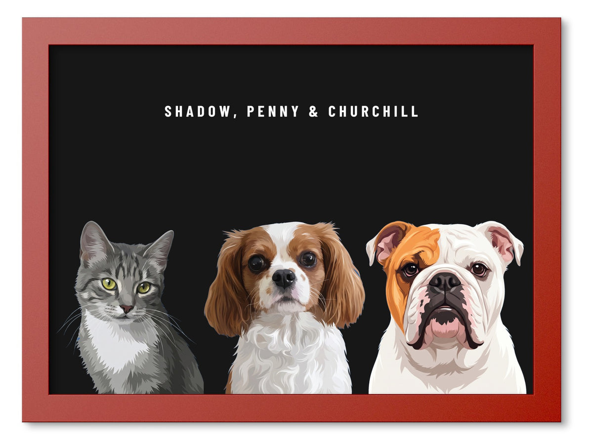 Custom Three Pet Portrait Coloured Frame Print (Red): Shadow the grey tabby cat & Penny the Cavalier King Charles Spaniel & Churchill the English Bulldog on a Obsidian background. [ks Frame Colour=Red; Background=Obsidian]