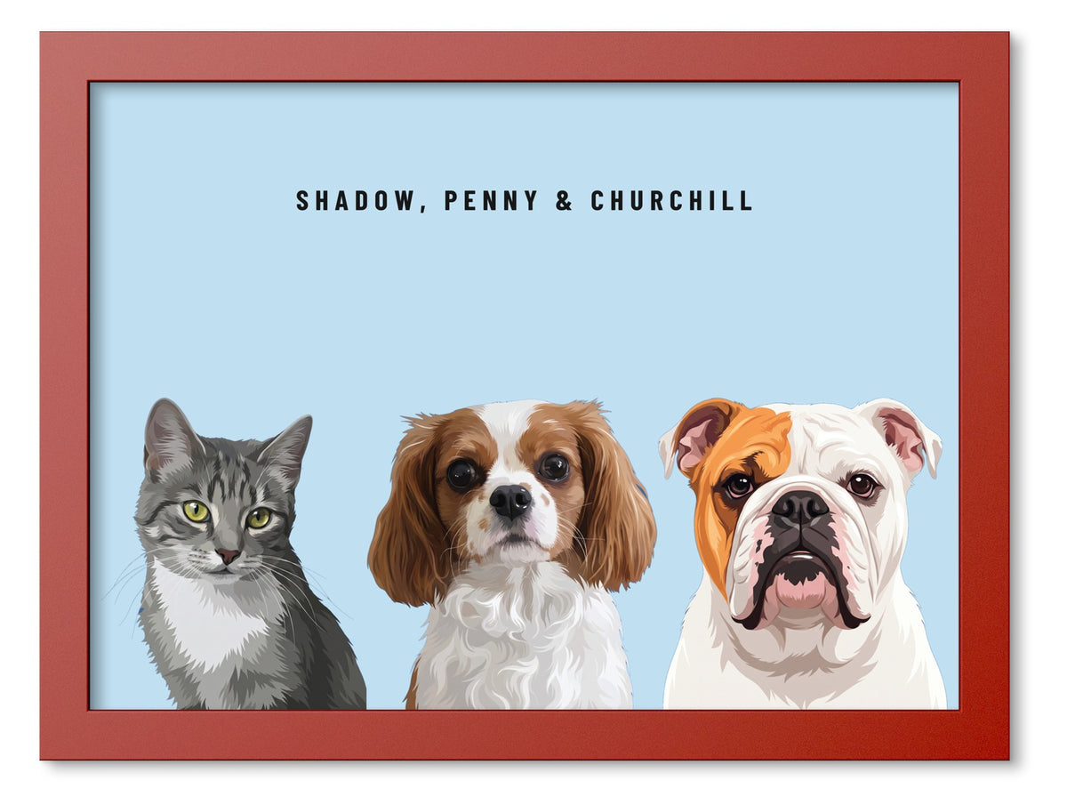Custom Three Pet Portrait Coloured Frame Print (Red): Shadow the grey tabby cat & Penny the Cavalier King Charles Spaniel & Churchill the English Bulldog on a Sky background. [ks Frame Colour=Red; Background=Sky]