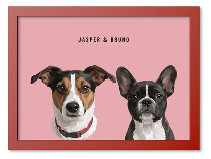 Custom Two Pet Portrait Coloured Frame Print (Red): Jasper the Jack Russell Terrier & Bruno the French Bulldog on a Rose background. [ks Frame Colour=Red; Background=Rose]