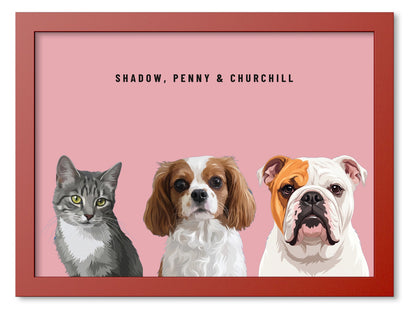 Custom Three Pet Portrait Coloured Frame Print (Red): Shadow the grey tabby cat & Penny the Cavalier King Charles Spaniel & Churchill the English Bulldog on a Rose background. [ks Frame Colour=Red; Background=Rose]