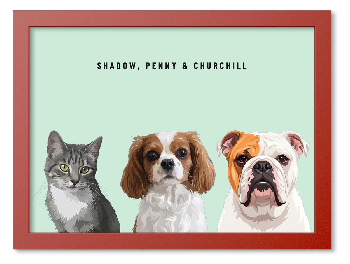 Custom Three Pet Portrait Coloured Frame Print (Red): Shadow the grey tabby cat & Penny the Cavalier King Charles Spaniel & Churchill the English Bulldog on a Mint background. [ks Frame Colour=Red; Background=Mint]
