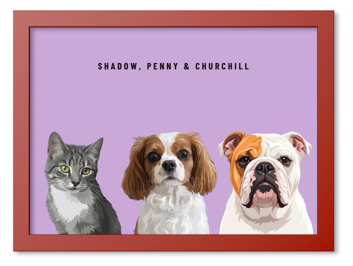Custom Three Pet Portrait Coloured Frame Print (Red): Shadow the grey tabby cat & Penny the Cavalier King Charles Spaniel & Churchill the English Bulldog on a Orchid background. [ks Frame Colour=Red; Background=Orchid]