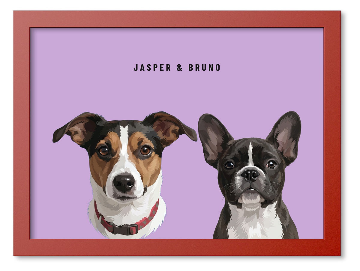 Custom Two Pet Portrait Coloured Frame Print (Red): Jasper the Jack Russell Terrier & Bruno the French Bulldog on a Orchid background. [ks Frame Colour=Red; Background=Orchid]