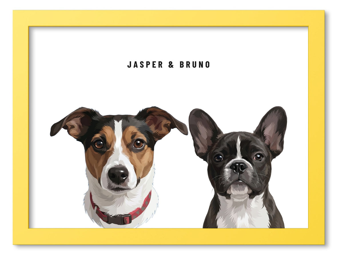 Custom Two Pet Portrait Coloured Frame Print (Yellow): Jasper the Jack Russell Terrier & Bruno the French Bulldog on a White background. [ks Frame Colour=Yellow; Background=White]