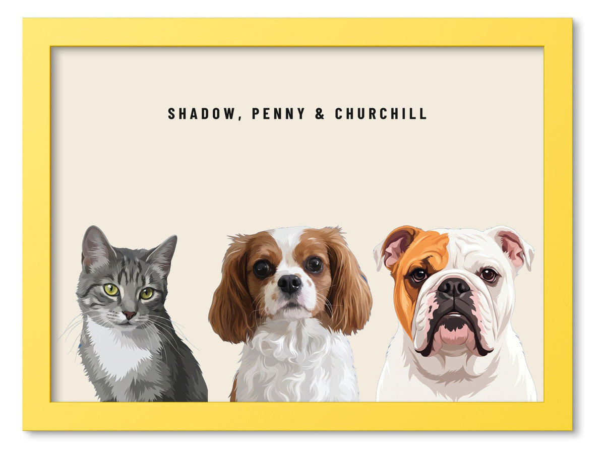 Custom Three Pet Portrait Coloured Frame Print (Yellow): Shadow the grey tabby cat & Penny the Cavalier King Charles Spaniel & Churchill the English Bulldog on a Cream background. [ks Frame Colour=Yellow; Background=Cream]