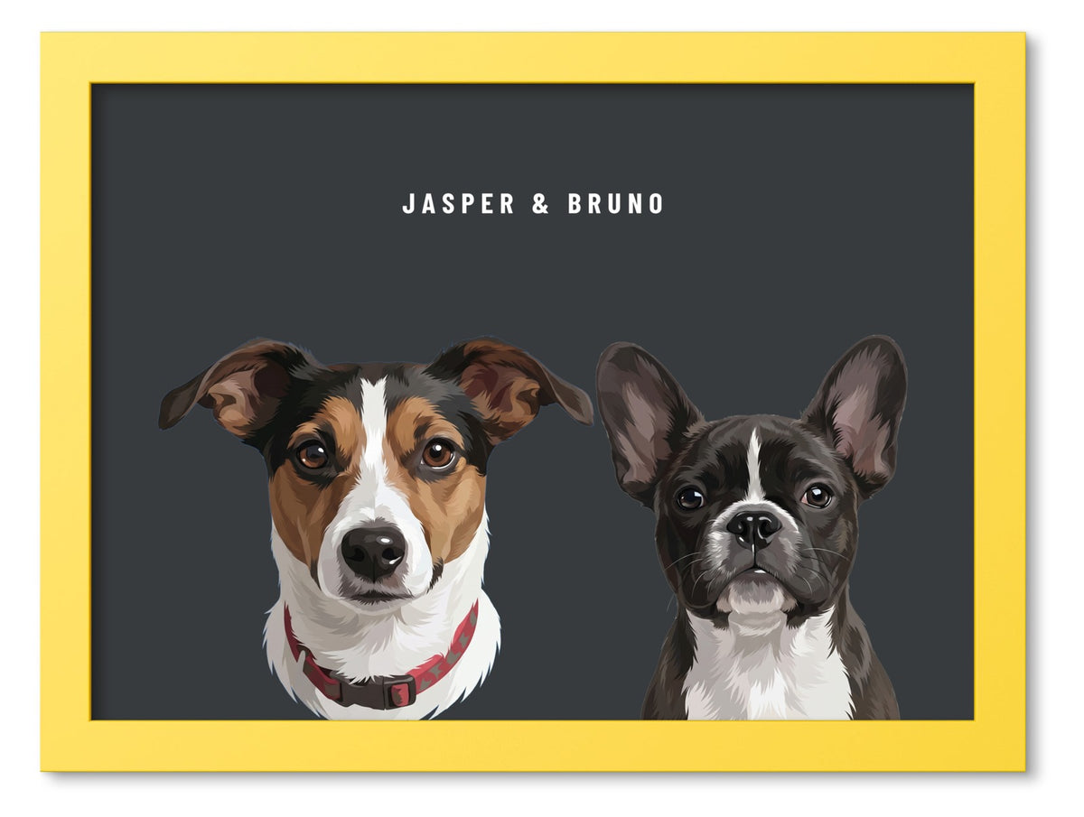 Custom Two Pet Portrait Coloured Frame Print (Yellow): Jasper the Jack Russell Terrier & Bruno the French Bulldog on a Charcoal background. [ks Frame Colour=Yellow; Background=Charcoal]
