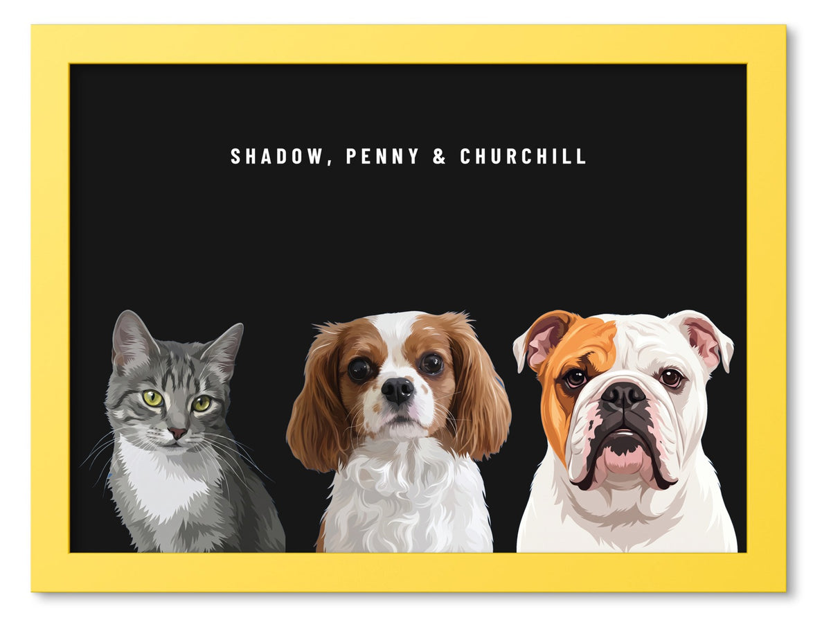 Custom Three Pet Portrait Coloured Frame Print (Yellow): Shadow the grey tabby cat & Penny the Cavalier King Charles Spaniel & Churchill the English Bulldog on a Obsidian background. [ks Frame Colour=Yellow; Background=Obsidian]