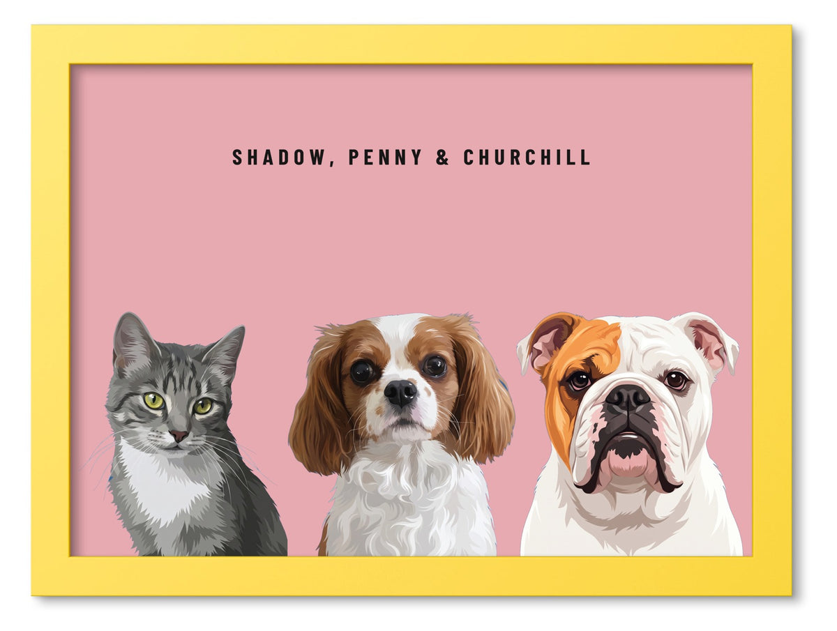 Custom Three Pet Portrait Coloured Frame Print (Yellow): Shadow the grey tabby cat & Penny the Cavalier King Charles Spaniel & Churchill the English Bulldog on a Rose background. [ks Frame Colour=Yellow; Background=Rose]