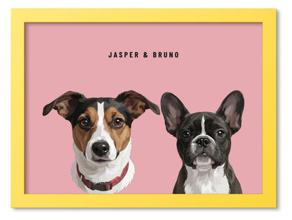Custom Two Pet Portrait Coloured Frame Print (Yellow): Jasper the Jack Russell Terrier & Bruno the French Bulldog on a Rose background. [ks Frame Colour=Yellow; Background=Rose]
