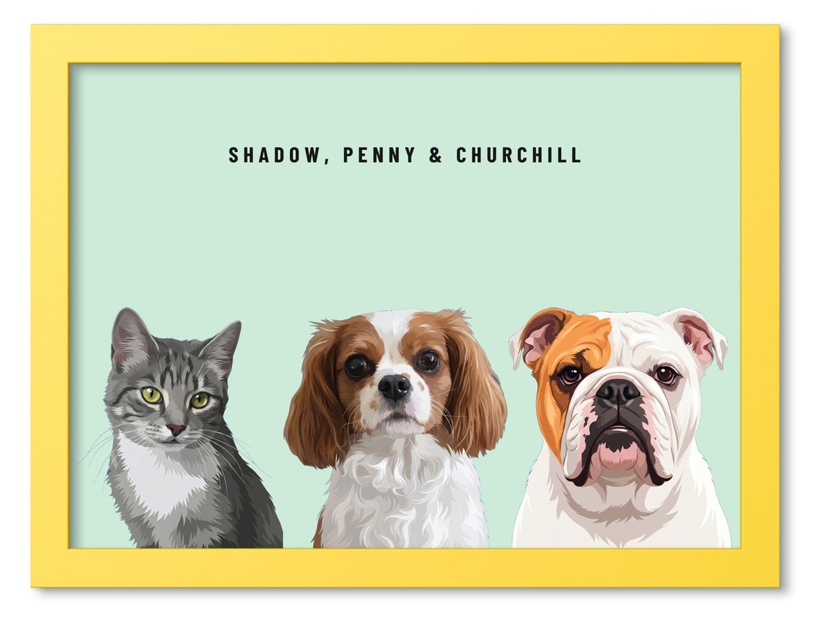 Custom Three Pet Portrait Coloured Frame Print (Yellow): Shadow the grey tabby cat & Penny the Cavalier King Charles Spaniel & Churchill the English Bulldog on a Mint background. [ks Frame Colour=Yellow; Background=Mint]
