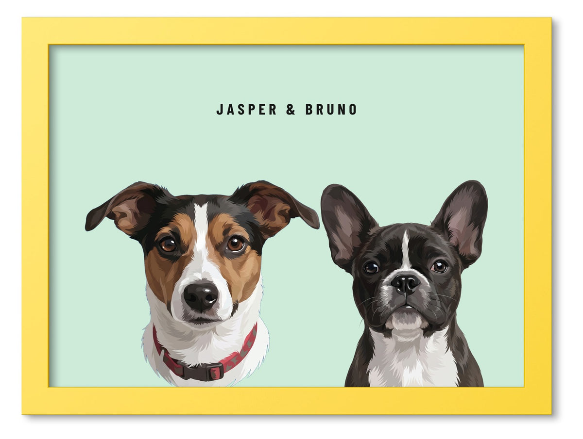 Custom Two Pet Portrait Coloured Frame Print (Yellow): Jasper the Jack Russell Terrier & Bruno the French Bulldog on a Mint background. [ks Frame Colour=Yellow; Background=Mint]