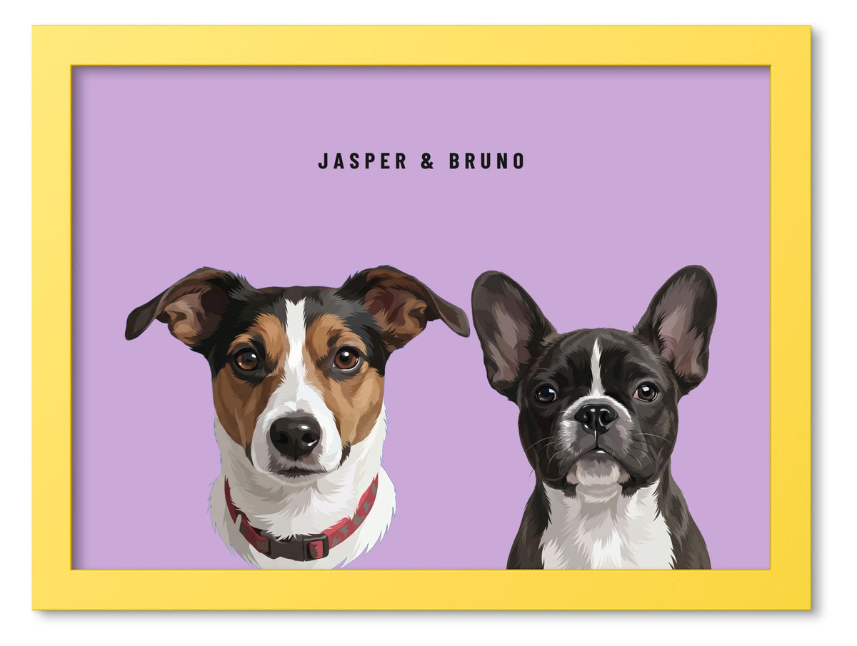 Custom Two Pet Portrait Coloured Frame Print (Yellow): Jasper the Jack Russell Terrier & Bruno the French Bulldog on a Orchid background. [ks Frame Colour=Yellow; Background=Orchid]