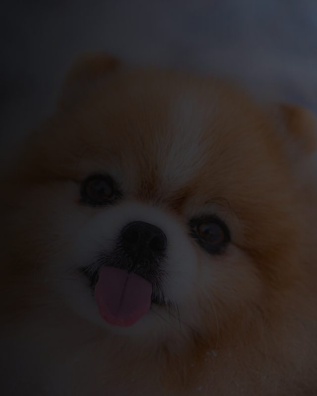 Example: a photo that is far too dark