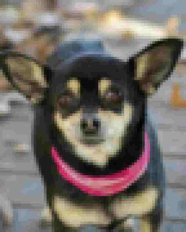 Example: a blocky, low-quality copy of a photo
